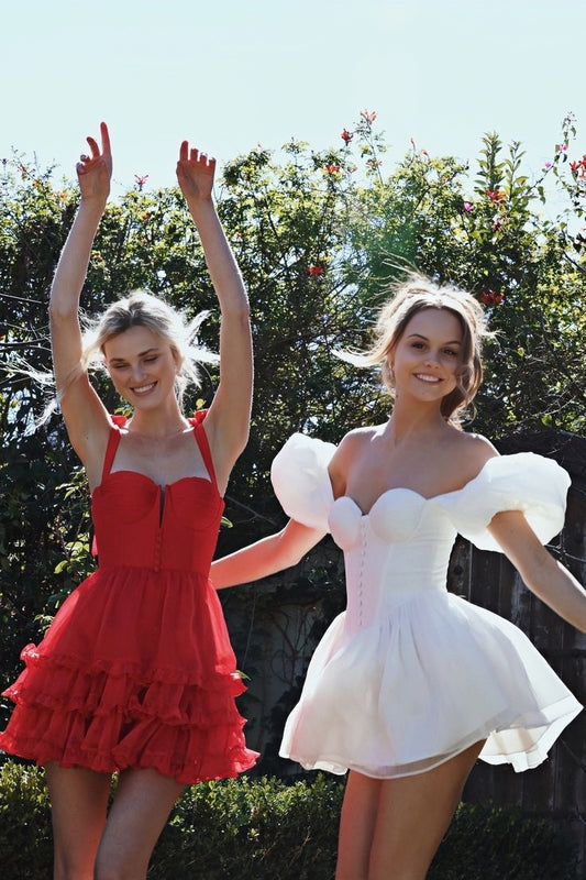 Classic A-Line Chiffon Homecoming Dress Short Birthday Dress, LTP3375