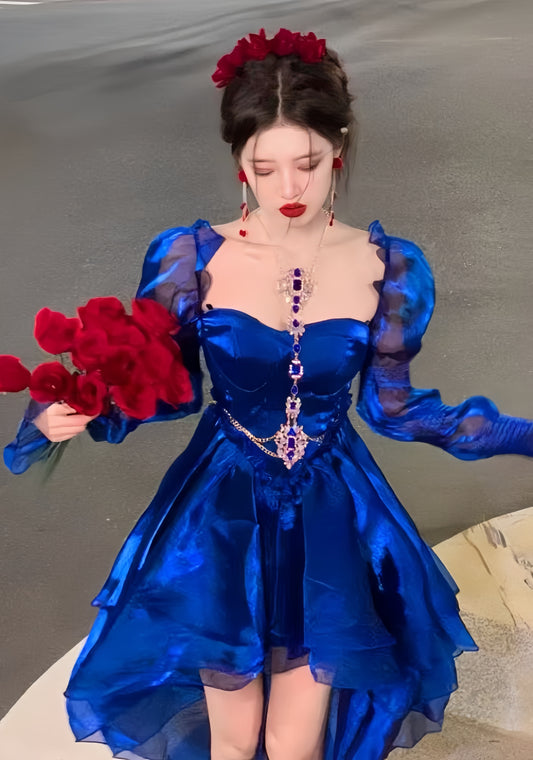 Royal Blue Organza High Low Party Dresses Long Sleeves Homecoming Dress,LTP3928