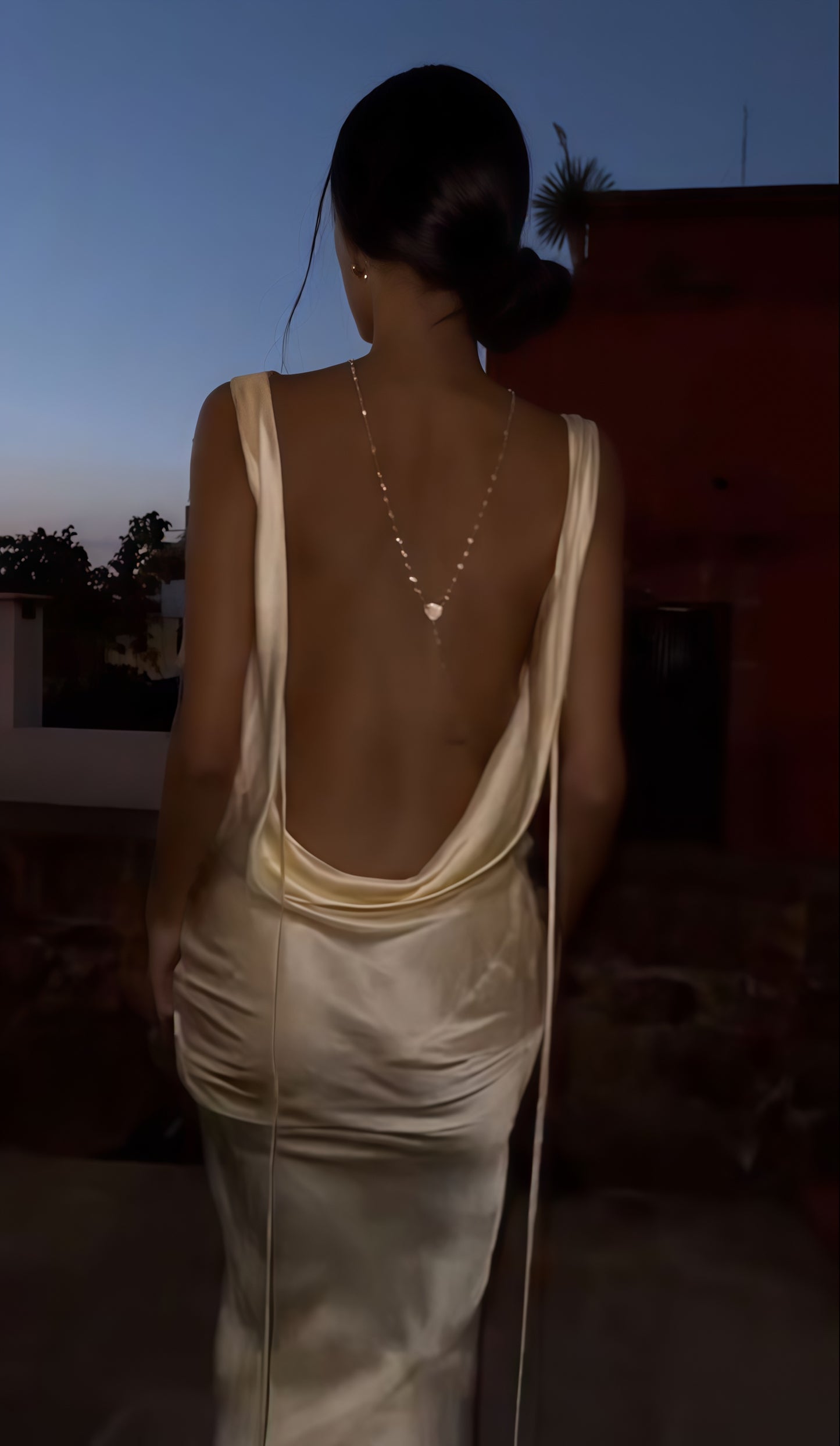 Sexy Backless Sheath Prom Dress, Sleeveless Night Party Dress, LTP3501