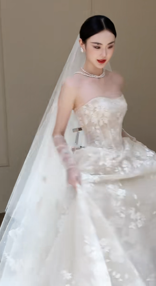 Dreamy Ball Gown Strapless Tulle Lace With Veil Long Wedding Dresses
