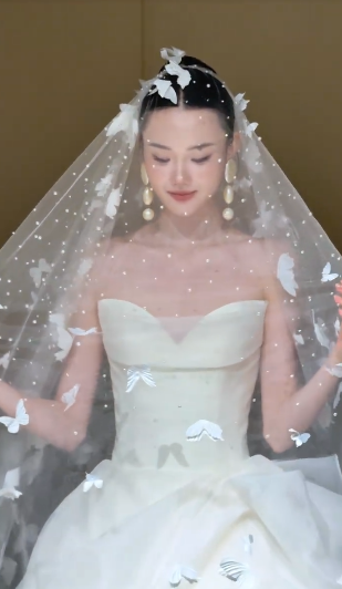 Stunning Ball Gown Sweetheart Chiffon With Veil Long Wedding Dresses
