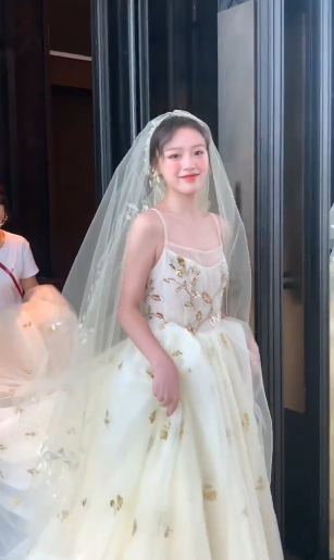 Pretty A Line Spaghetti Straps Tulle Sequin With Veil Long Wedding Dresses