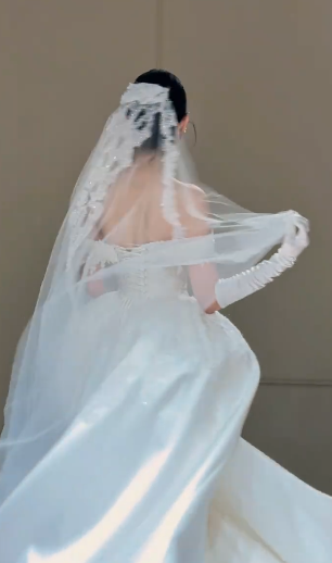Timeless Ball Gown Off The Shoulder Satin Lace Applique With Gloves Veil Long Wedding Dresses