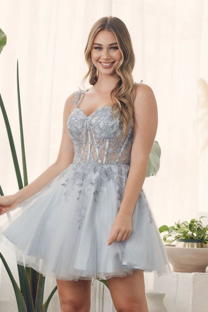 Lovely A-Line Tulle Homecoming Dress, Applique Lace Mini Graduation Dress, LTP2918