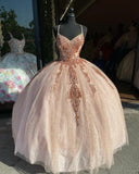 LTP0057,Long Prom Dresses Lace Ball Gown Appliques Sweet 16 Dresses