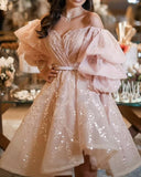 LTP0510,Luxury Pink A-Line Homecoming Dresses Puffy Evening Dress