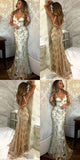 LTP0058,V Neck Navy Blue Rose Golden Mermaid Lace Prom Dresses,Backless Mermaid Lace Formal Evening Dresses